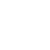Ícono