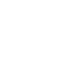 Logo en versión blanca de la marca Onix de Skincare en Colombia